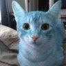 Juxa's profile picture