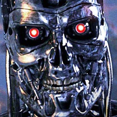 Terminator2Mov's profile picture