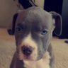 Jay's profile picture