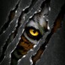 jankh's profile picture