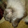 ゆう's profile picture