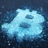 Profilbild von Crypto Warrior