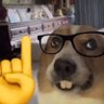 NotOhBoi's profile picture
