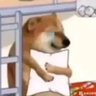 Profilbild von 好想变成蟹