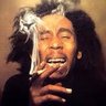 Profilbild von RastaSteve