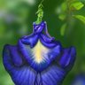 Фото профиля சிவம் திருச்சி