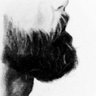سائد's profile picture