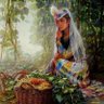 Фото профиля 书写者(互fo)