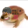 ikun 的头像