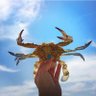 فاطمة السادة 🏆🇧🇭's profile picture