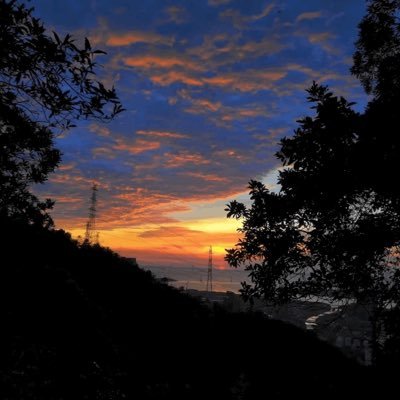 fff29671319's profile picture