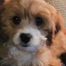 Фото профиля Maggie