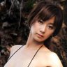 ぽんぽんぽん's profile picture