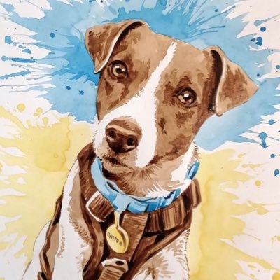 PatronDsns's profile picture