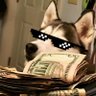 Bleu ChèX's profile picture