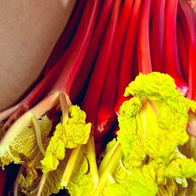 Robert Tomlinson's profile picture