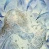 Nilofar Usman's profile picture