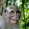 MPeKuzi Jr* profil fotoğrafı