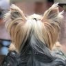 Eliane profil fotoğrafı