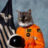 Stuey's profile picture