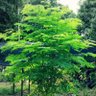 Фото профиля Moringa