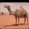 Фото профиля ﮼عبداللة،