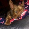 Profilbild von Steven