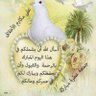 Фото профиля ا يا بنات اللي شي يراسلنا ن حقي 24 ساعه779886452