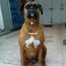 chairo p3nd... ็ๅคดๅ