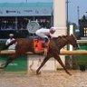 Фото профиля Justify