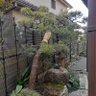 お庭の掃除屋キクッチャン's profile picture