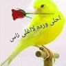 Фото профиля سحر الكلام