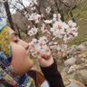 Fateme Gh's profile picture