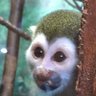 Bu-gi profil fotoğrafı