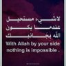 Profilbild von البرنس
