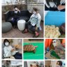 Фото профиля のんうたママ