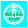 wonder leaf's profile picture