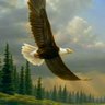 GreenWorld 🇺🇸's profile picture