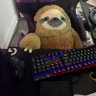 Sloth Daddy profil fotoğrafı