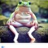 Plumber69's profile picture