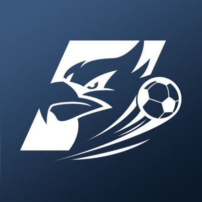 BolaNusantaraID's profile picture