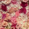 花盗❁ 6/28-6/29グループ展"pink attribute" profil fotoğrafı