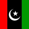 Dr.Mohsin Altaf's profile picture