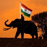 Kovai Karthic's profile picture