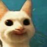 Fatima Nasir's profile picture