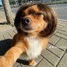 Profilbild von claudinha do gole