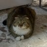 Фото профиля начальник вечірньої зміни