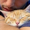 Por los colores de este amor 的头像