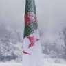 Profilbild von جزائري 🇩🇿🇩🇿