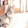 ノロノロうさぎ profil fotoğrafı